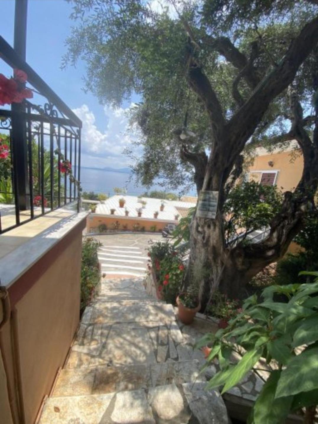 Emilios See View Apartment Barbati Esterno foto